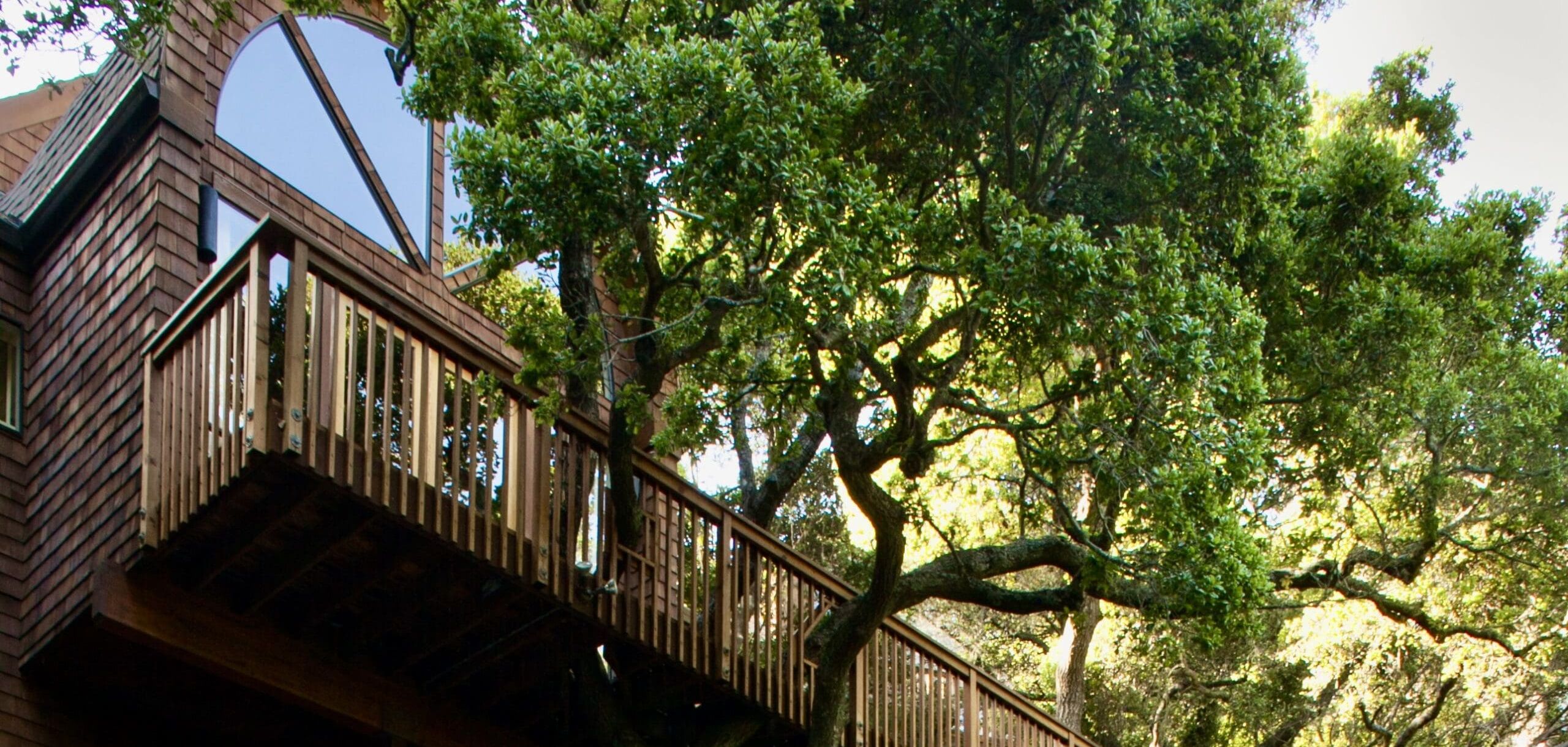 becoming one w nature